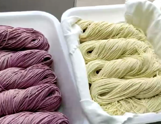 果蔬雜糧面條機怎么使用