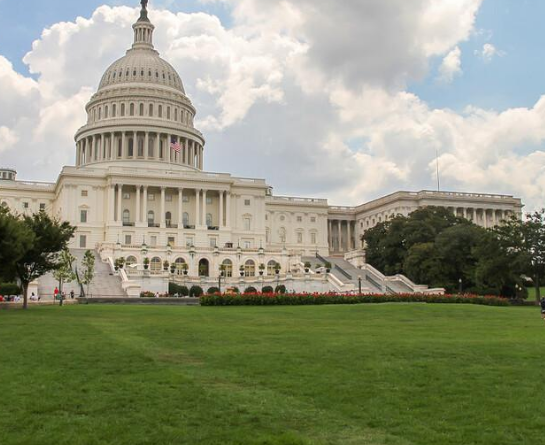 美國餃子館用餃子機(jī)包餃子